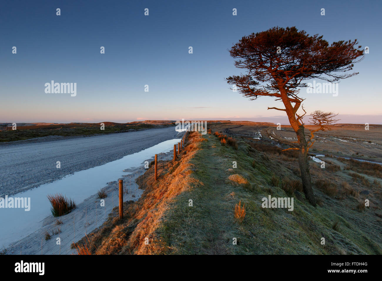 Ein einsamer Baum an der Grenze zwischen Dartmoor National Park und der Industriebrache der Porzellanerde Steinbrüche von Lee Moor. Stockfoto