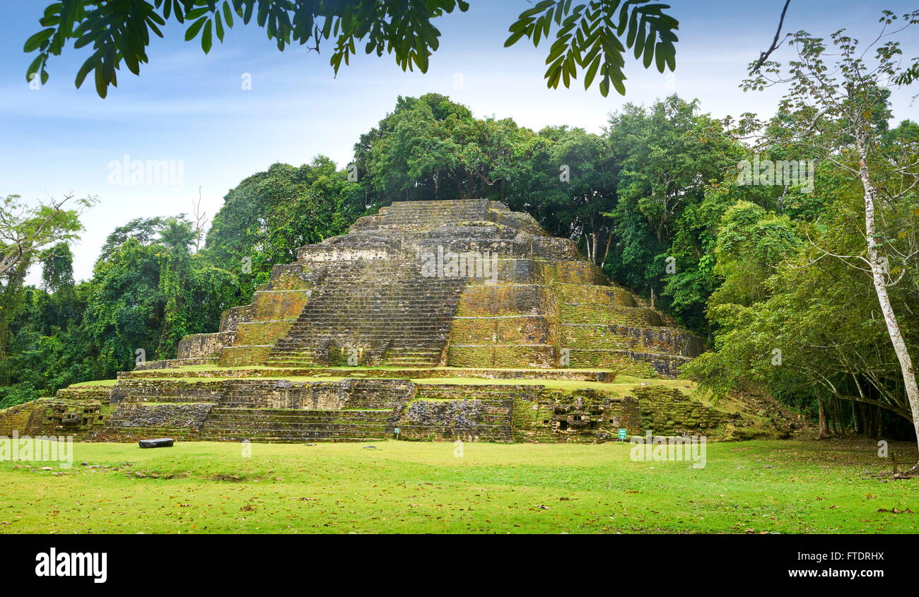 Jaguar-Tempel in Lamanai, Maya Ruinen, Belize Stockfoto
