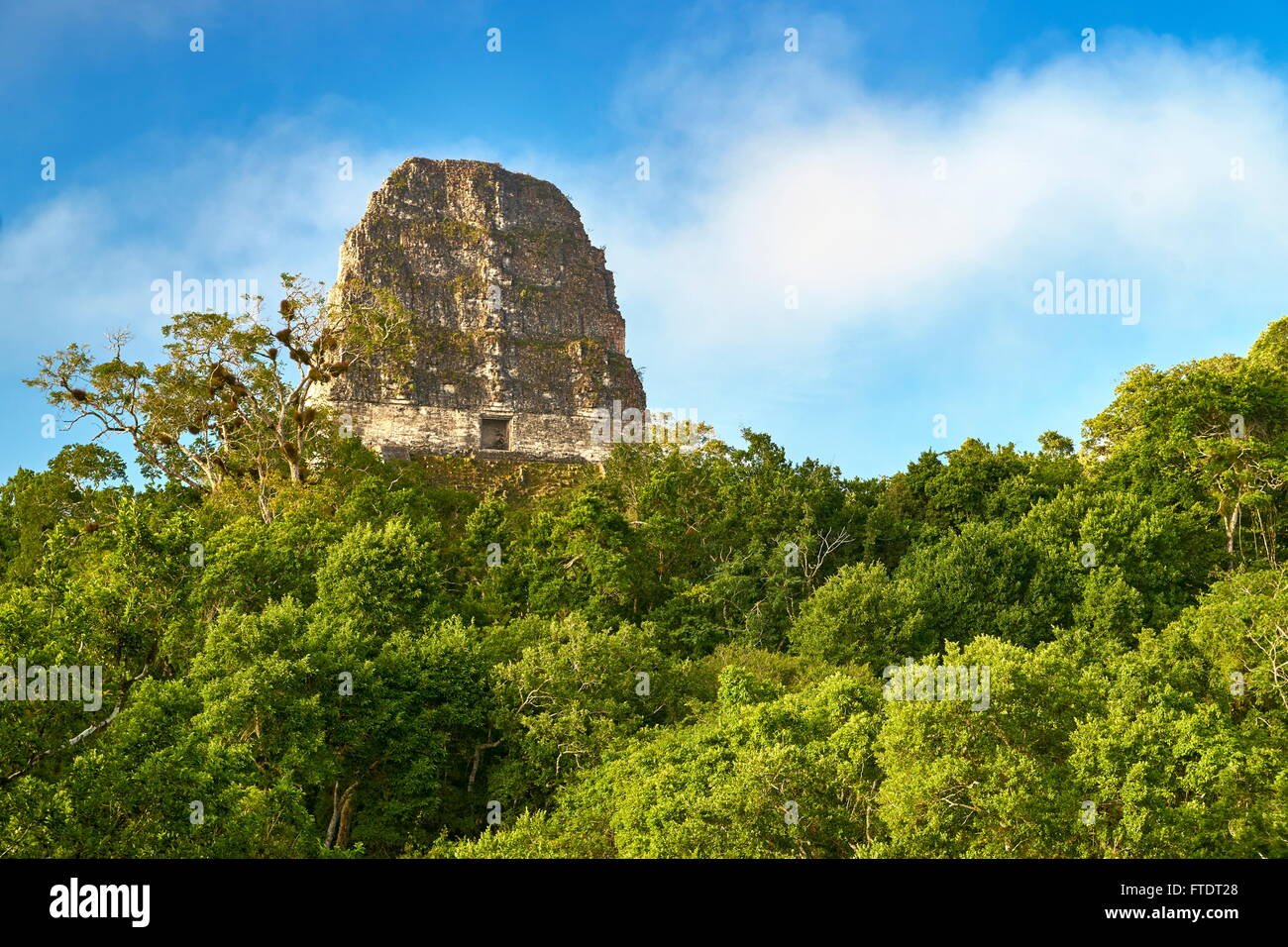 Tempel V, Maya Ruinen, Tikal National Park, Yucatan, Guatemala UNESCO Stockfoto