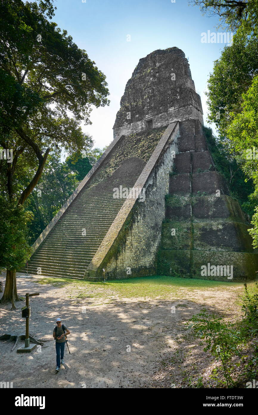 Tempel V, Maya Ruinen, Tikal National Park, Yucatan, Guatemala UNESCO Stockfoto