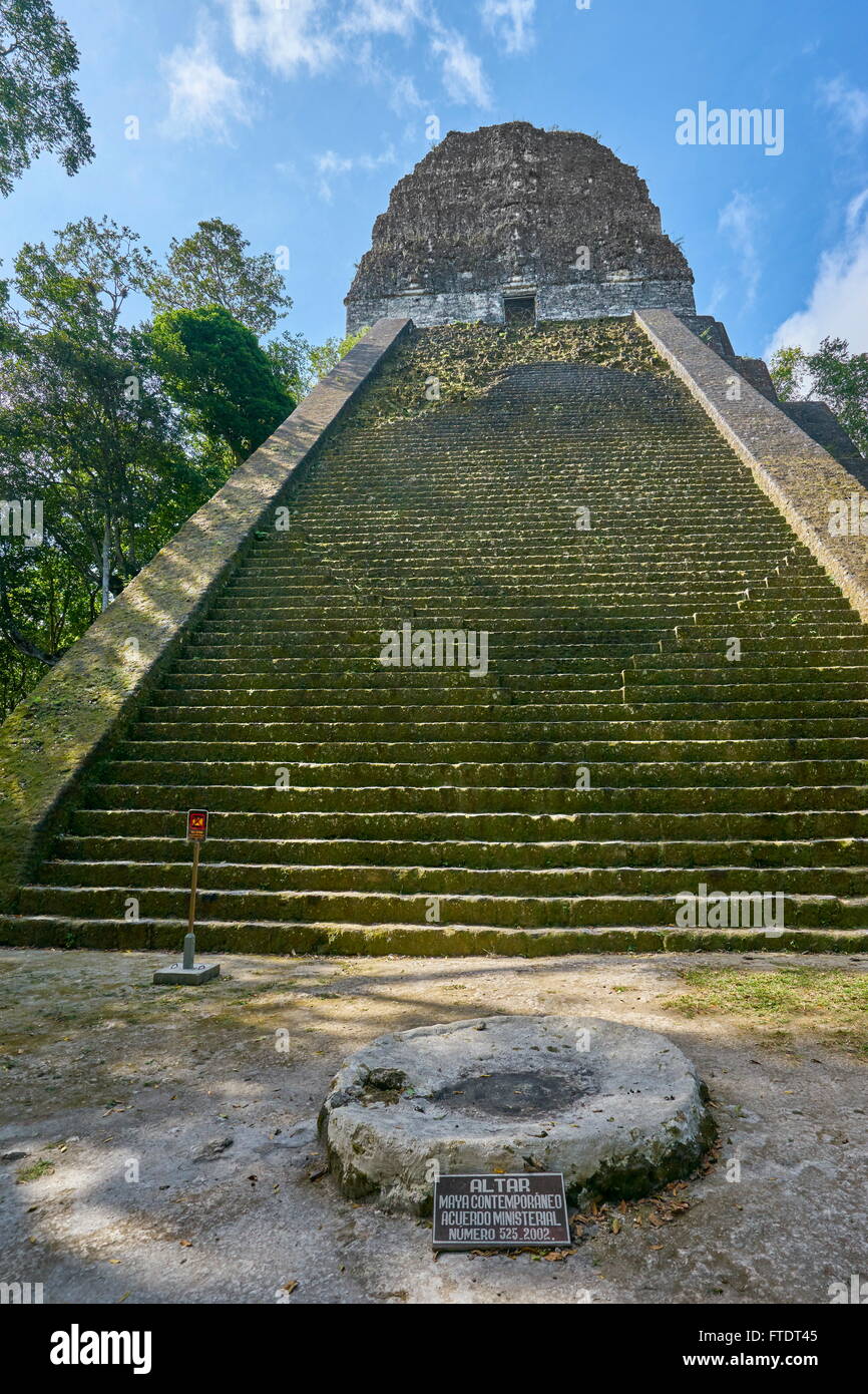 Tikal National Park - Tempel V, antiken Maya-Ruinen, Yucatan, Guatemala UNESCO Stockfoto