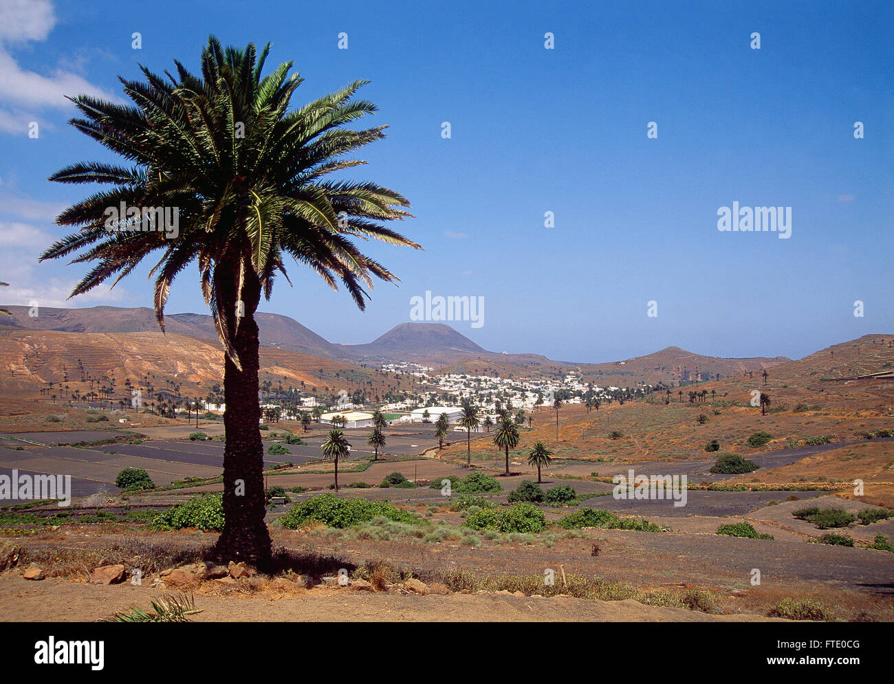 Haria. Lanzarote, Insel, Kanaren, Spanien. Stockfoto