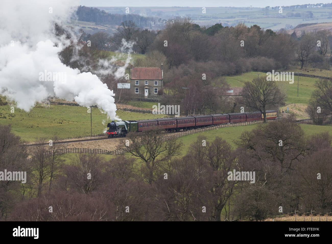 Flying Scotsman Dampflokomotive schleppen ein Bummelzug durch das Tal des North York Moors Railway März 2016 Stockfoto