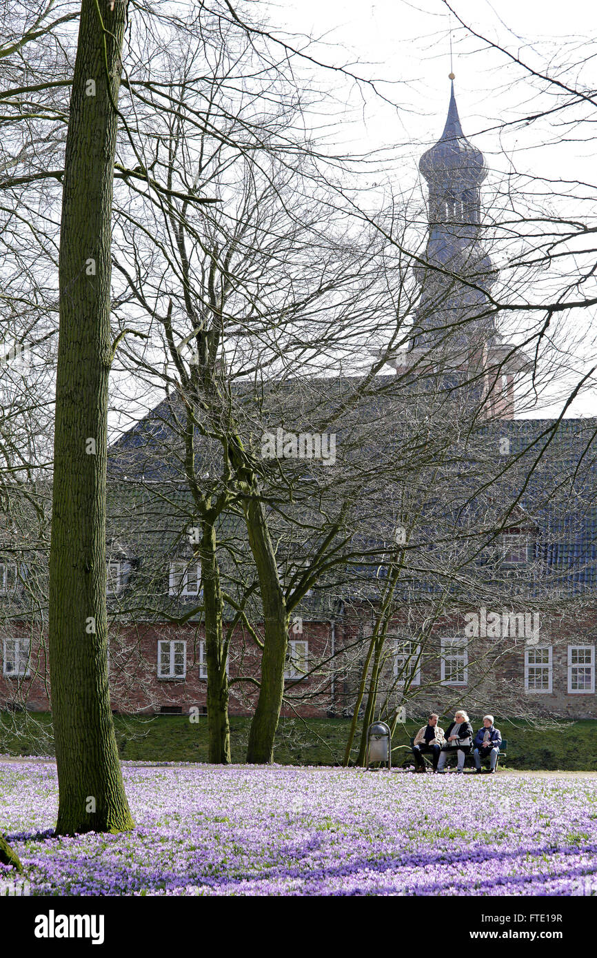 Burg, blühende Krokusse, Schlossgarten, Husum, Schleswig-Holstein, Deutschland Stockfoto