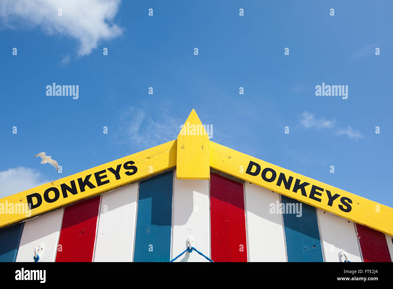 Eine bunt bemalte Strandhütte Werbung Eselreiten, eine typisch britische Küste Spaß, was zu tun, während in den Urlaub. Stockfoto