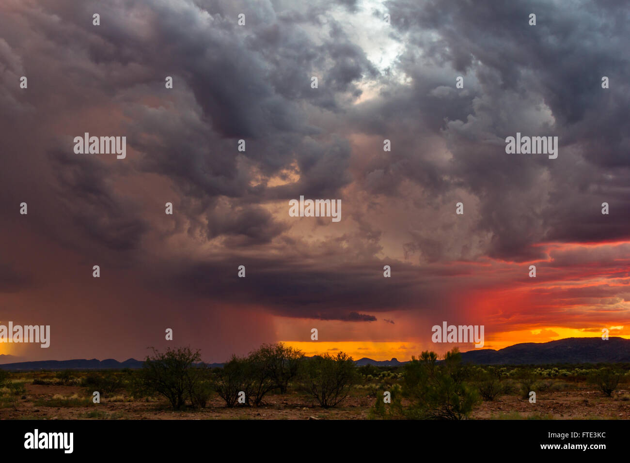 Ein Sturm der Monsunzeit mit dramatischen Wolken und Sonnenuntergang in der Wüste in der Nähe von Phoenix, Arizona, USA Stockfoto