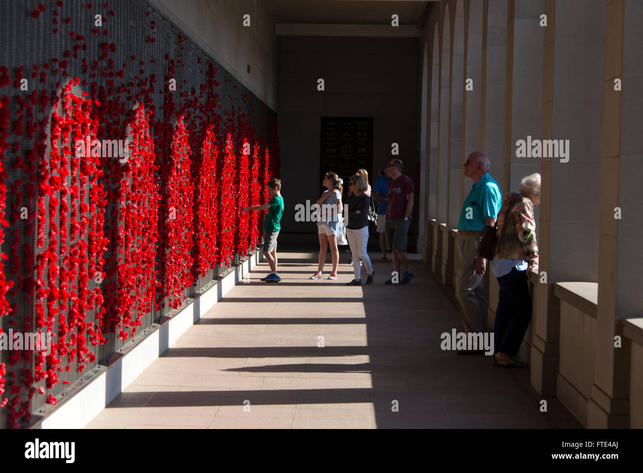 Eine lange Wand dekoriert mit roten Mohnblumen am Australian War Memorial in Canberra, Australien. Stockfoto