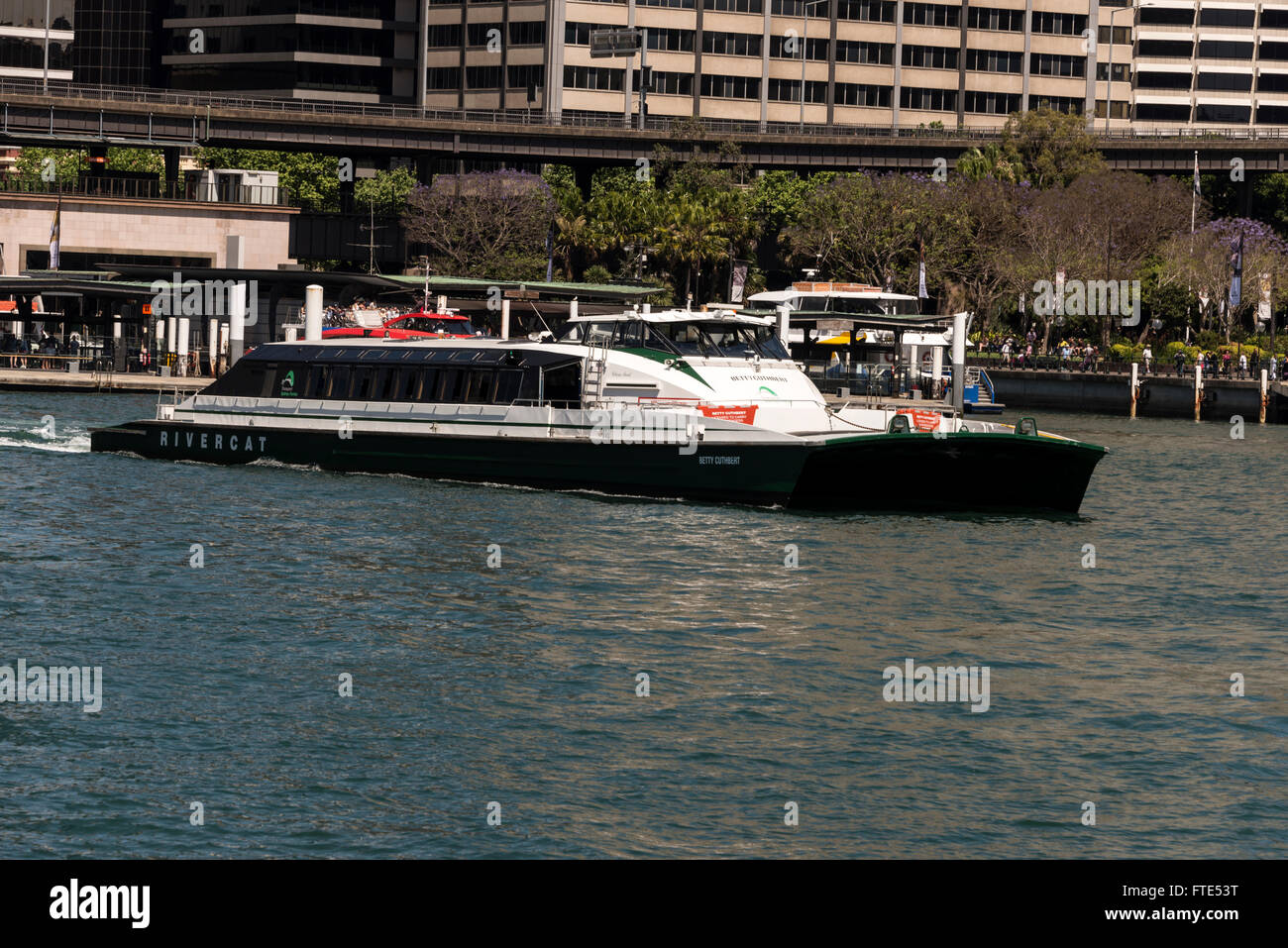 Ein Sydney Pendler Riverboat (Katamaran) erbringt eine öffentliche Dienstleistung im Bereich Sydney Hafen vom Circular Quay in Sydney, New Stockfoto