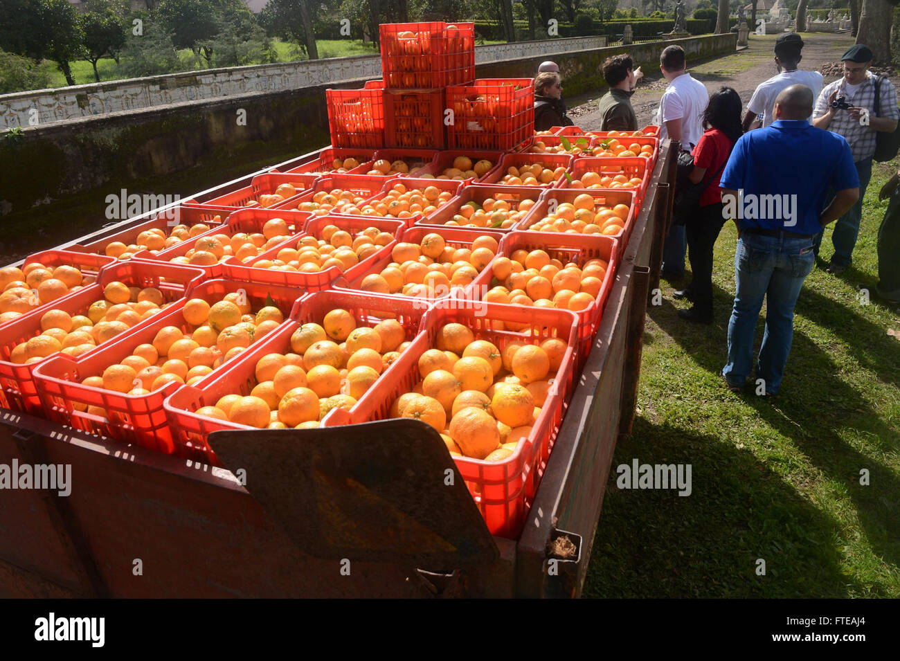 Seeleute und Marines an Bord der USS Bataan (LHD 5) nahmen während ihres Hafenbesuchs in Lissabon, Portugal, im Februar 2014 an einer Gemeindeveranstaltung Teil. Sie trugen dazu bei, indem sie Orangen für die lokalen Gemeinden pflückten, was die humanitären Bemühungen des Schiffes widerspiegelte. Stockfoto