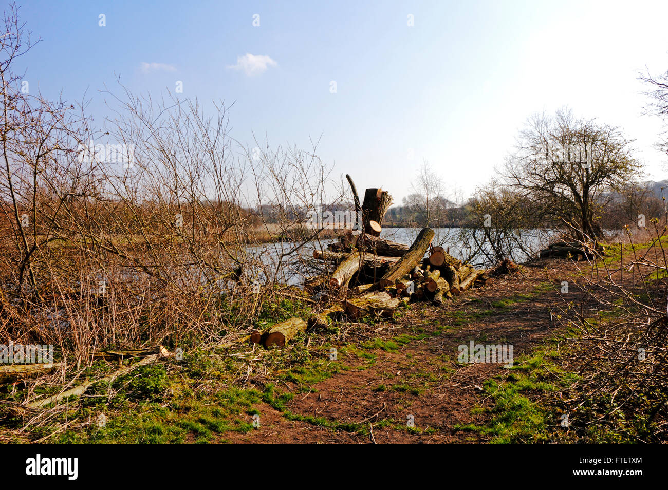 Riverside-Wartung durch den Fluß Yare und der Wherryman Weg zu Surlingham, Norfolk, England, Vereinigtes Königreich. Stockfoto
