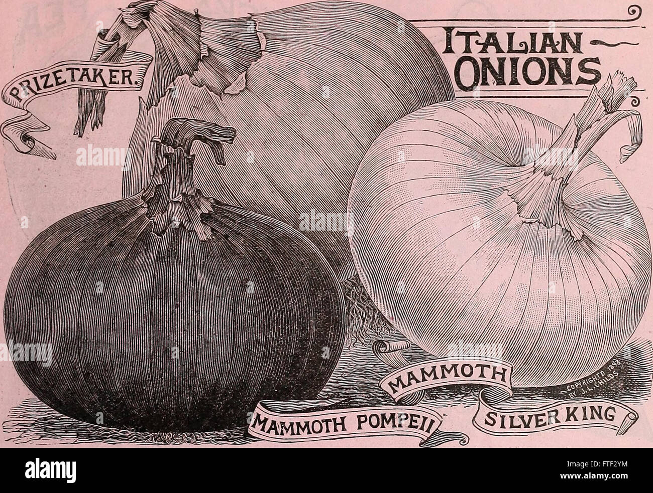 Childs seltene Blumen, Gemüse und Obst (1907) Stockfoto