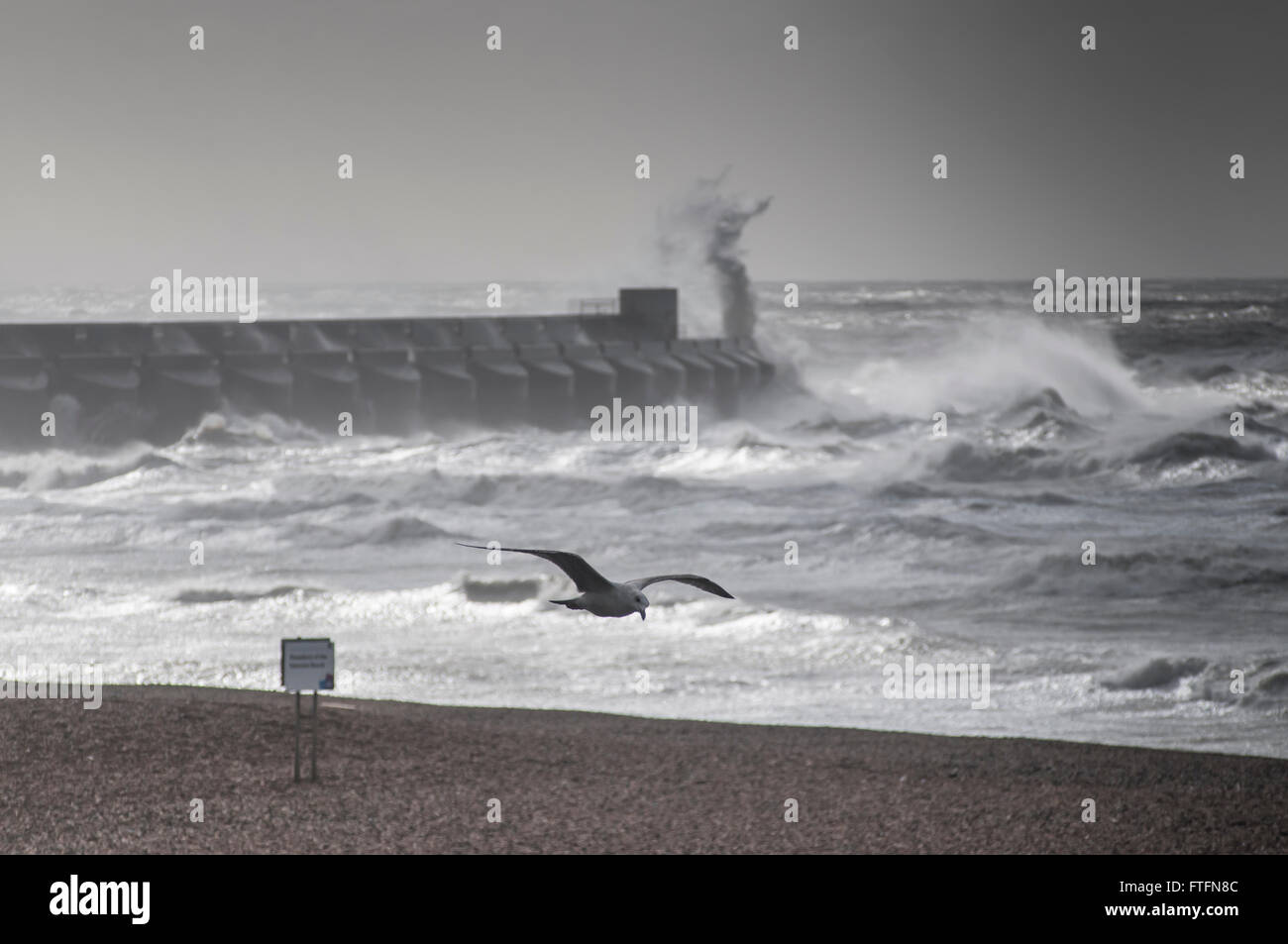 Brighton, East Sussex, UK..28. März 2016..Gulls Kampf die Storm Force Winde wehten in mehr als 70 mph über dem Yachthafen West Arm, als Katie die Südküste trifft... Stockfoto