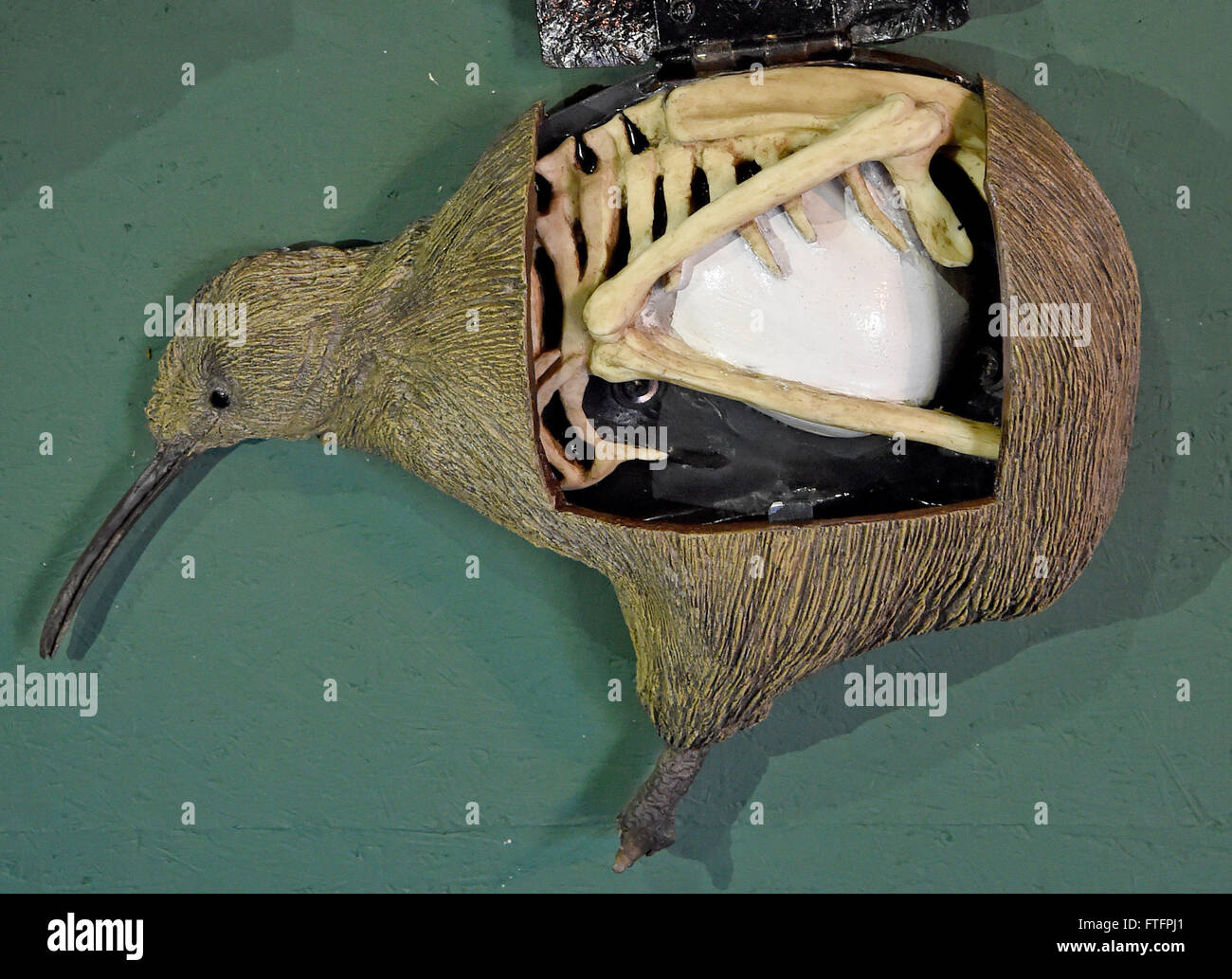 Walsrode, Deutschland. 17. März 2016. Ein Modell eines Kiwis präsentiert seine enorme Ei am Welt-Vogelpark in Walsrode, Deutschland, 17. März 2016. Mehr als 4.000 Vögel etwa 675 verschiedene Arten leben in der Welt-Vogelpark. Foto: Holger Hollemann/Dpa/Alamy Live News Stockfoto
