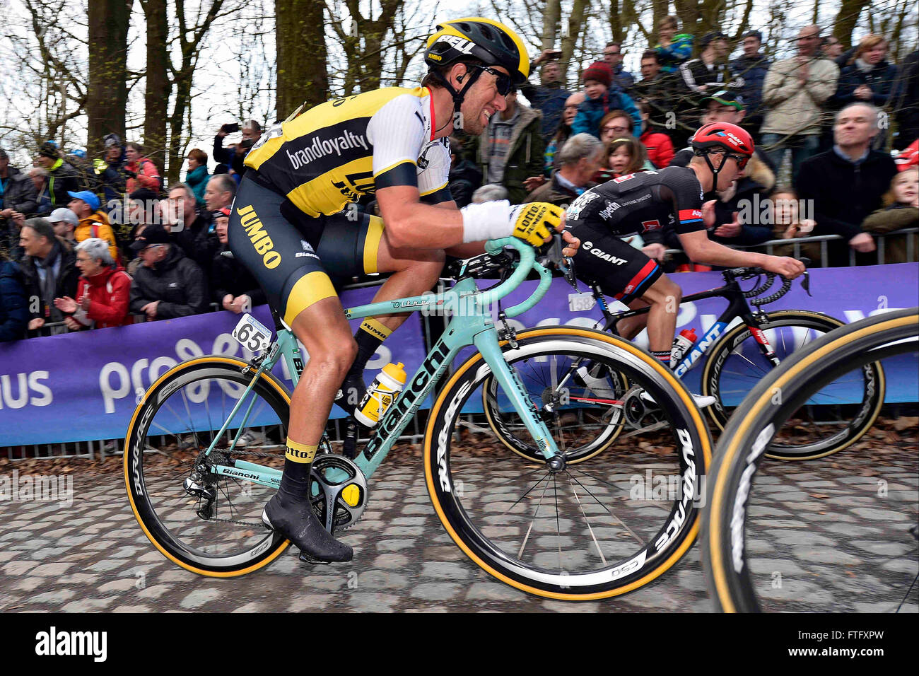 Deinze, Belgien. 27. März 2016. VAN ASBROECK Tom (BEL) Fahrer des TEAM LOTTO NL - JUMBO in Aktion auf dem Kemmelberg in Flandern Klassiker UCI World Tour 78nd Gent-Wevelgem Radrennen mit Start in Deinze und Ziel in Wevelgem © Action Plus Sport/Alamy Live News Stockfoto