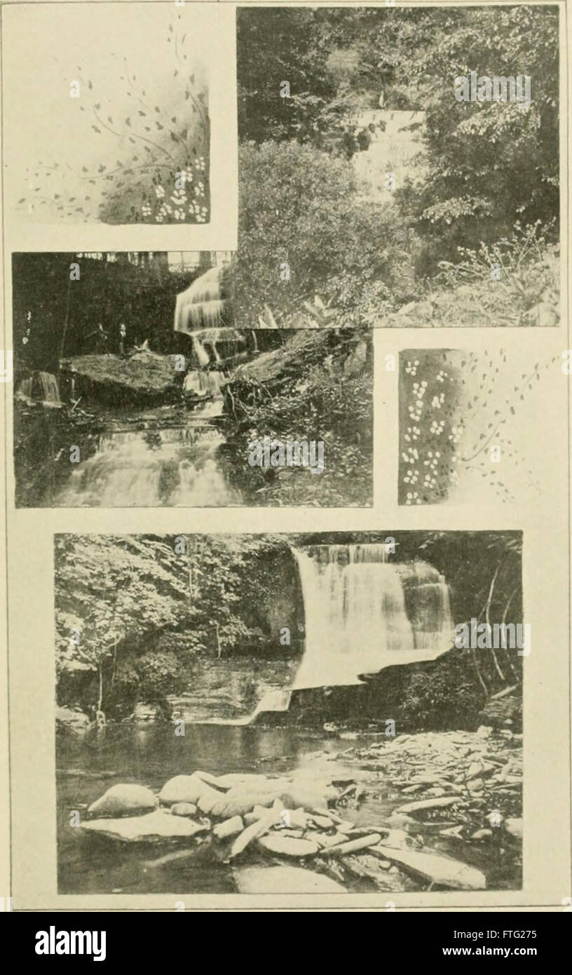 Delaware County, New York; Geschichte des Jahrhunderts, 1797-1897; Hundertjahrfeier, Juni 9 und 10, 1897 (1898) Stockfoto