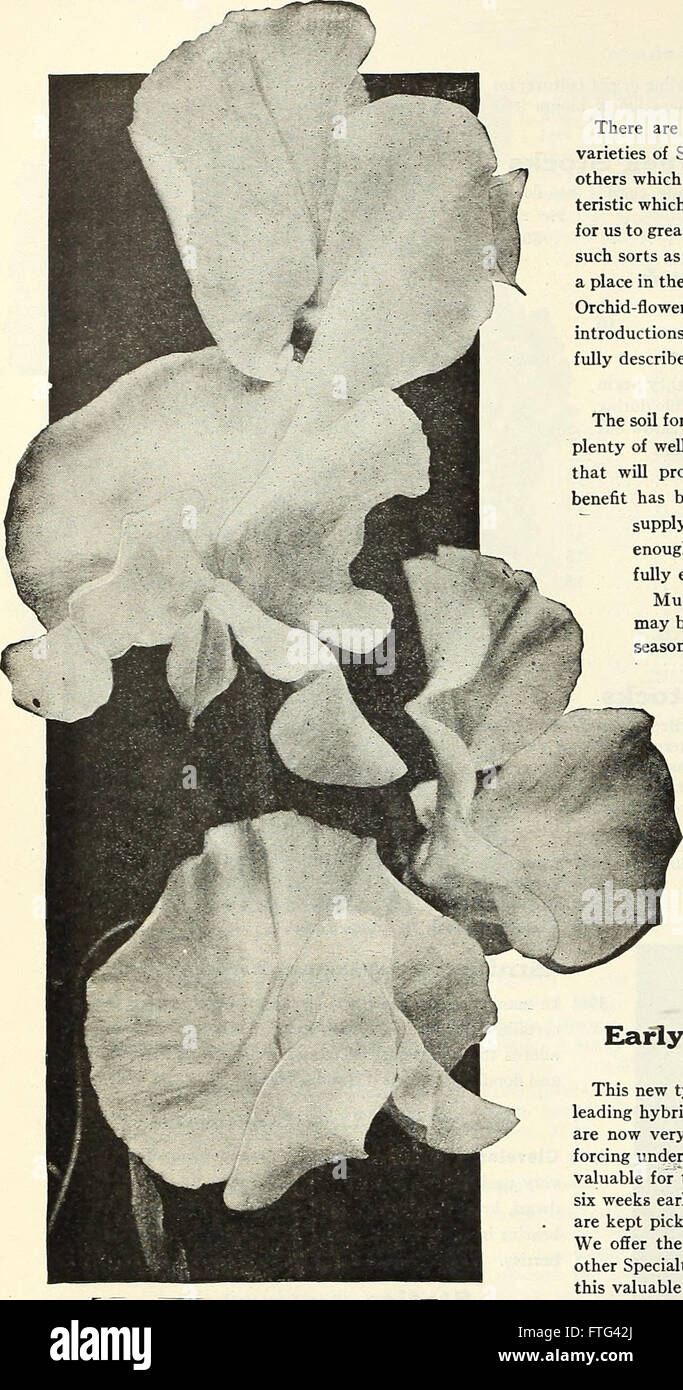 Dreer's Garden Book (1927) ist ein umfassender Leitfaden zum Gartenbau und bietet praktische Ratschläge zum Pflanzenanbau, zur Gartengestaltung und zur Landschaftsgestaltung. Es ist eine wichtige Referenz für Gärtner im frühen 20. Jahrhundert. Stockfoto