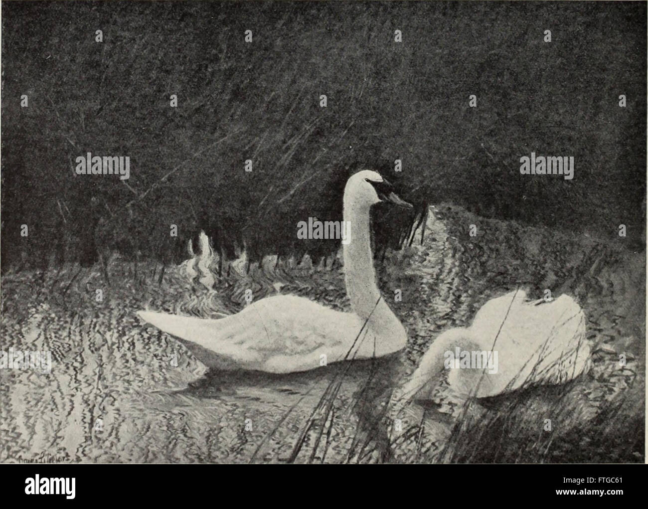 Dieses Magazin aus dem Jahr 1908 präsentiert eine breite Palette an bildender und angewandter Kunst und bietet Einblicke in zeitgenössische Trends, Künstler und Techniken des frühen 20. Jahrhunderts. Stockfoto