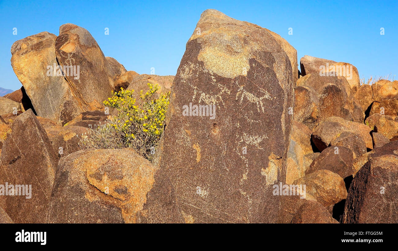Native American Hohokam Petroglyphen auf einem Felsen am Signal Hill im Saguaro-Nationalpark Stockfoto