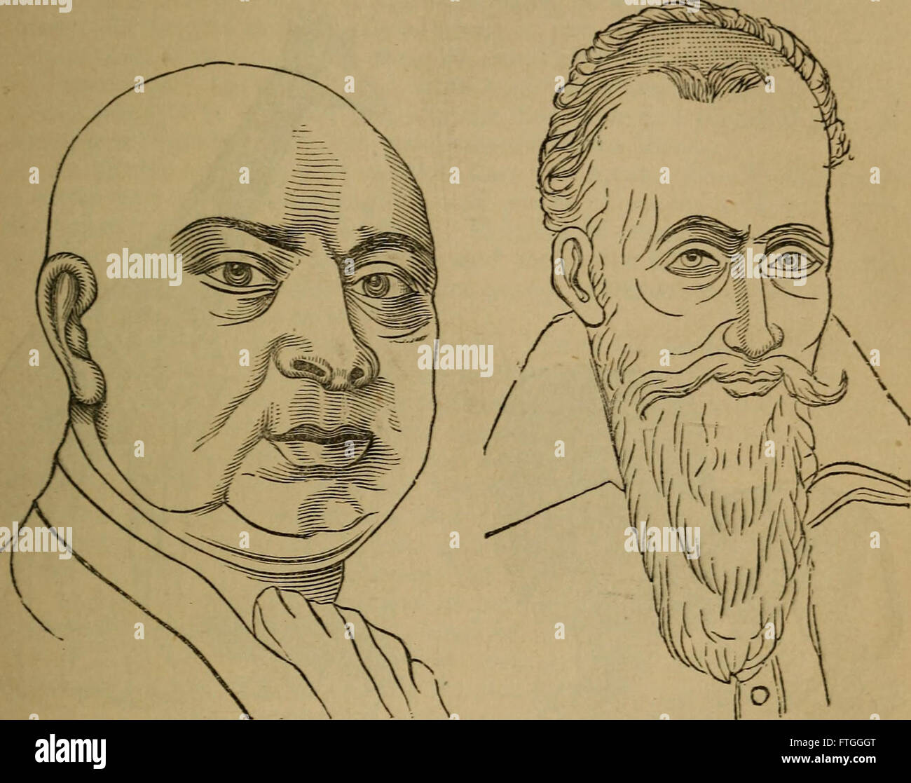 Ein 1873 illustriertes Diagramm, das die physiologischen und physiognomischen Aspekte des Menschen darstellt, wobei der Schwerpunkt auf den physikalischen Merkmalen und ihrem Verhältnis zur Biologie und menschlichen Funktion liegt. Stockfoto