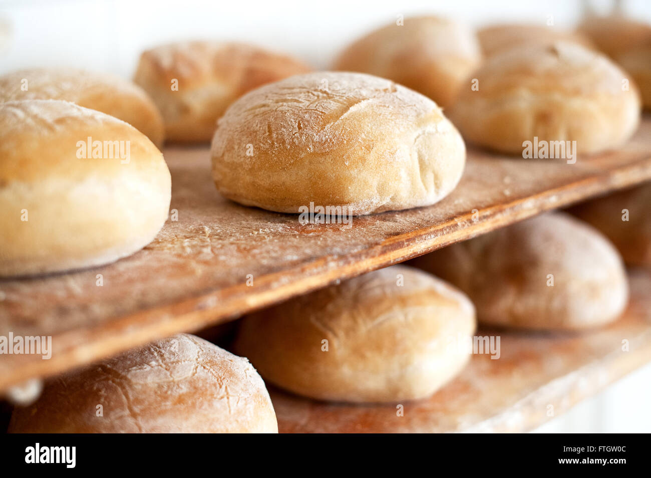 Regale von frisch gebackenem Brot in einer Bäckerei mit knusprigem runde Brote in einem schrägen Winkel Nahaufnahme Stockfoto