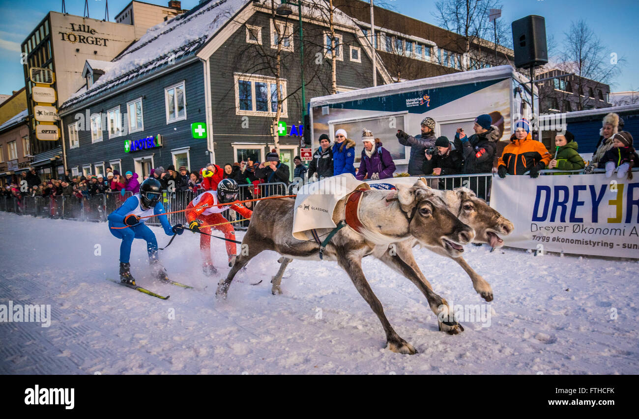 Tromso-Rentier-Rennen 2016 Stockfoto