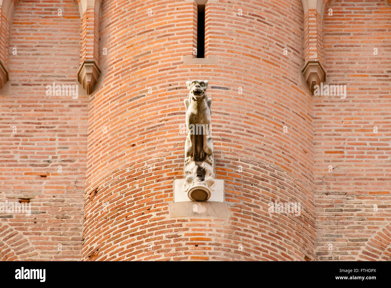 Wasserspeier auf Albi Kathedrale - Albi - Frankreich Stockfoto