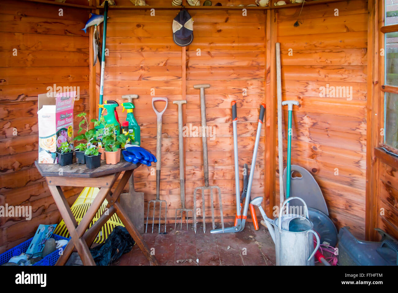 Gartenhaus-Interieur mit Gartenarbeit Werkzeuge eine Tabelle mit einer Gießkanne, Beetpflanzen, Dünger und Unkrautvernichter Stockfoto