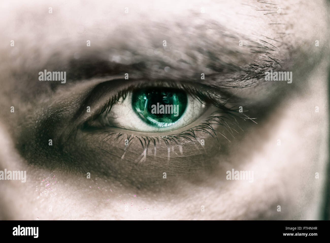 Das Auge eines jungen Mannes mit grünen Iris Makro Stockfoto