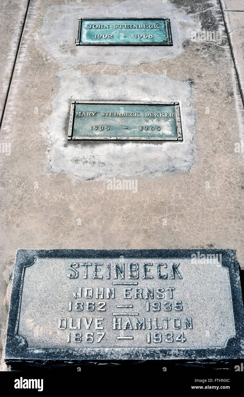 Eine einfache Bronzetafel (oben) markiert das Grab des berühmten amerikanischen Autor John Steinbeck (1902-1968), die in der Stadt, wo er geboren wurde, Salinas, Monterey County, Kalifornien, beigesetzt werden. Seine eingeäscherten Überreste liegen auf dem Friedhof IOOF Garden of Memories im Familiengrab seiner Mutter, Olive Hamilton Steinbeck (1867-1934), der es mit seinem Vater John Ernest Steinbeck (1862-1935) und seine Schwester Maria Steinbeck Dekker (1905-1965) begraben liegt. Benannt nach seinem Vater, war die produktiver Autor voller Name John Ernst Steinbeck, Jr. Stockfoto