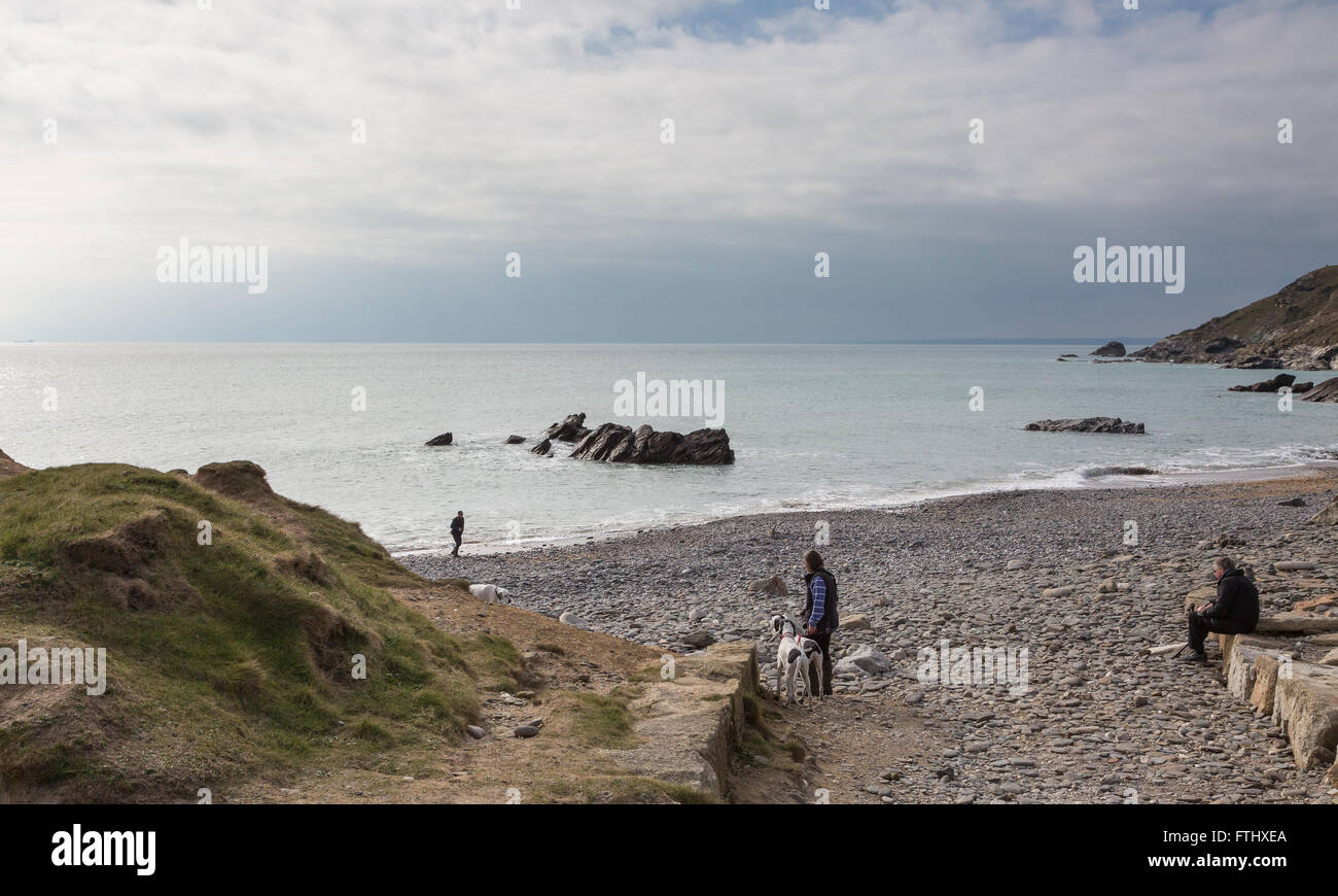 Brechenden Wellen in einer wunderschönen Bucht in der Nähe von The Lizard, Cornwall Stockfoto