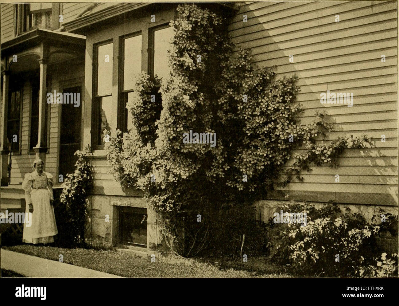 „The American Florist“ (1900) ist eine wöchentliche Zeitschrift, die Branchennachrichten, Trends auf dem Blumenmarkt und Gartenbautipps für Floristen, Baumschulen und Gartenfachleute liefert. Stockfoto