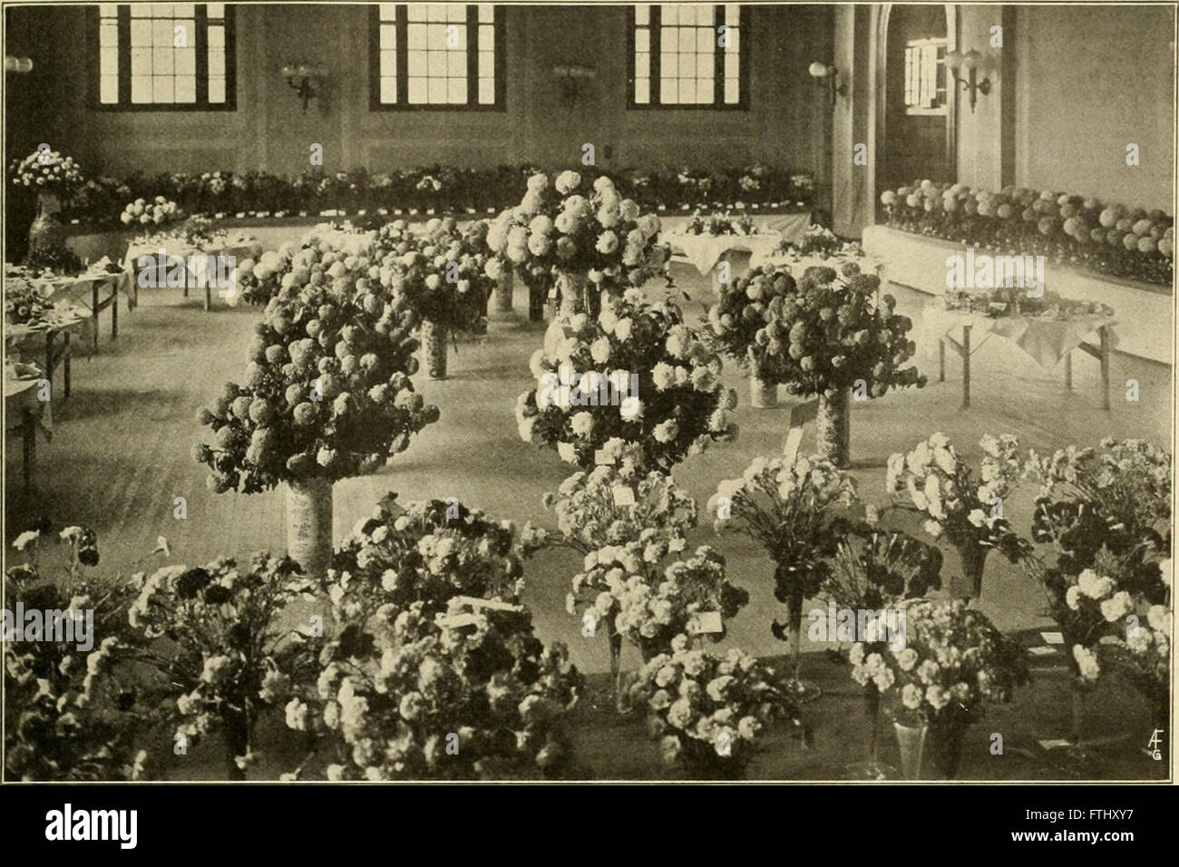 The American Florist (1914) ist eine wöchentliche Zeitschrift, die sich dem Blumenhandel widmet und Nachrichten, Ratschläge und Branchenaktualisierungen für Floristen und Blumenfachleute anbietet. Stockfoto