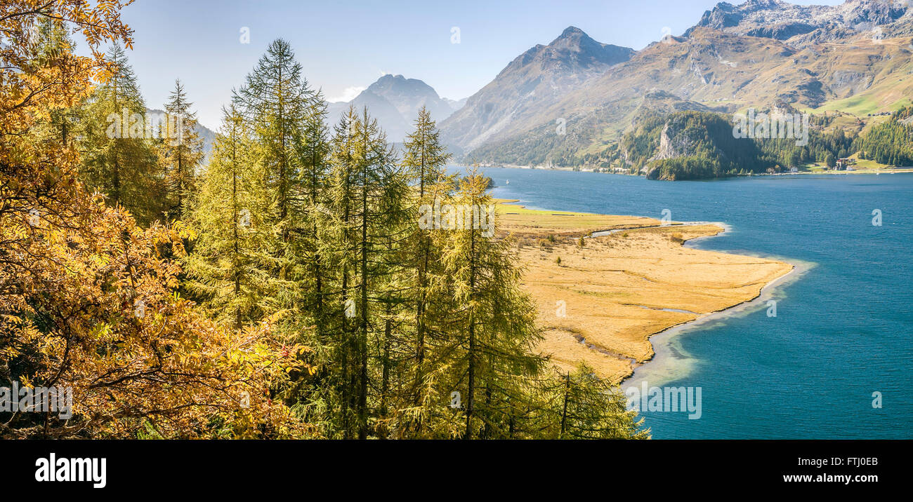 Herbstlandschaft, Sillersee, Oberengadiner Tal, Schweiz Stockfoto