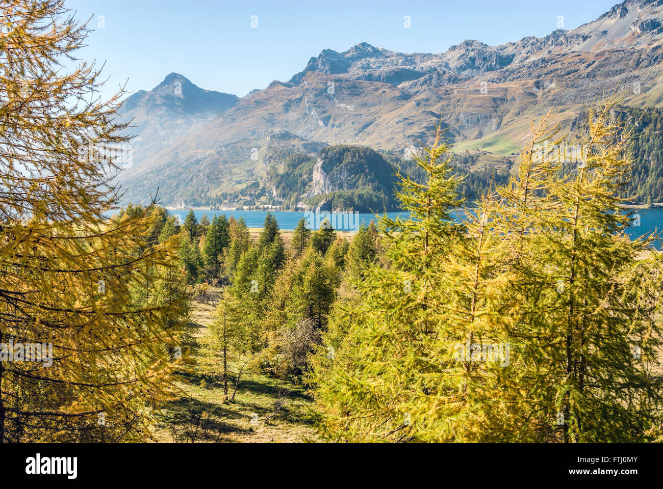 Herbstlandschaft, Sillersee, Oberengadiner Tal, Schweiz Stockfoto