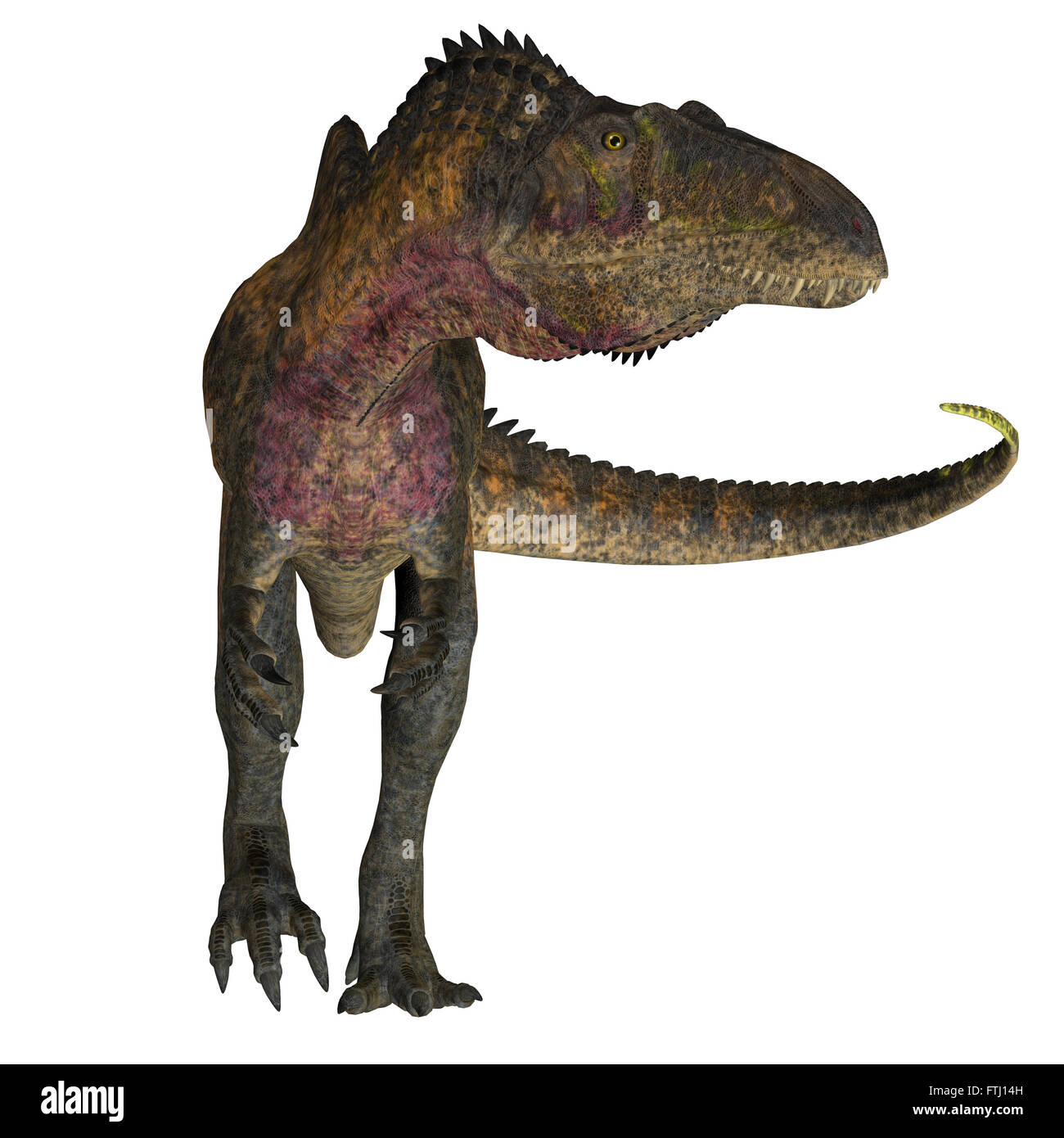 Acrocanthosaurus war ein theropoder fleischfressender Dinosaurier, der während der Kreidezeit in Nordamerika lebte. Stockfoto