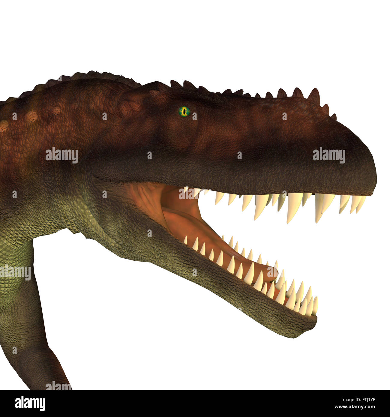 Prestosuchus war ein fleischfressender Archosaur Dinosaurier, der in der Trias Zeit in Brasilien gelebt. Stockfoto