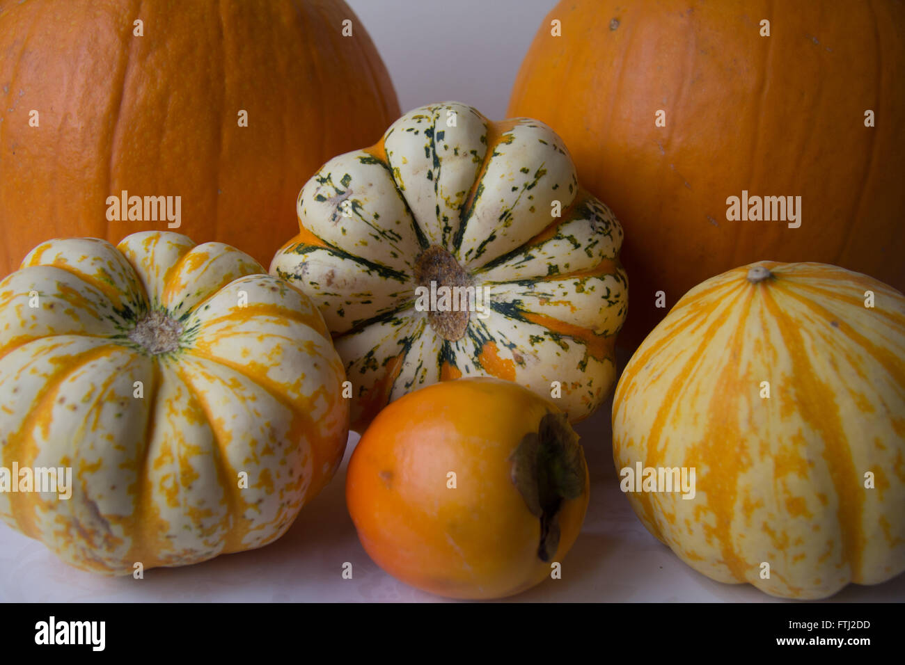 Eine Halloween-Sammlung von Obst und Gemüse. Kaki Früchte, Kürbisse und Squash. Diese haben viele Winter-Rezepte. Sehr lecker. Stockfoto