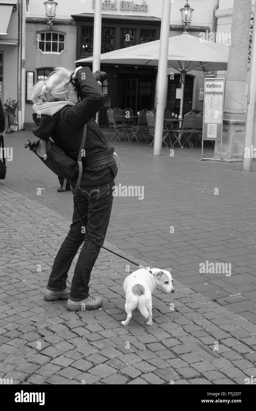 Fotograf mit einem kleinen Hund Stockfoto