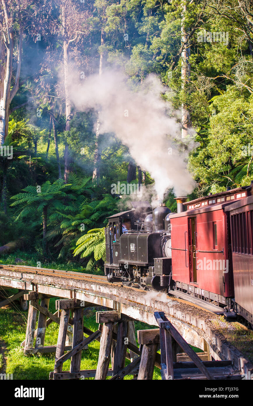 Puffing Billy Dampfzug Stockfoto