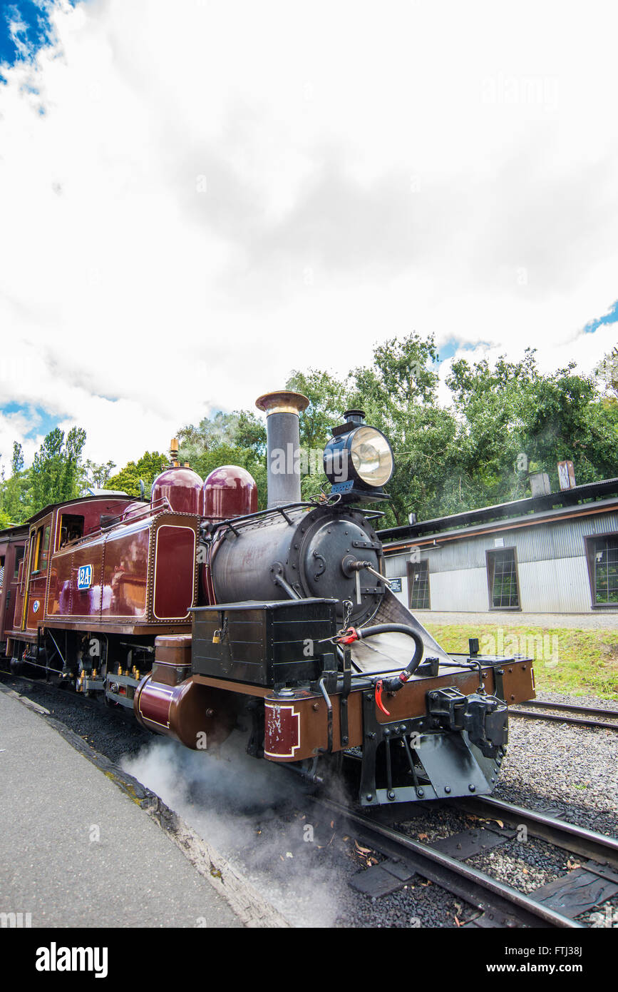 Puffing Billy Dampfzug Stockfoto