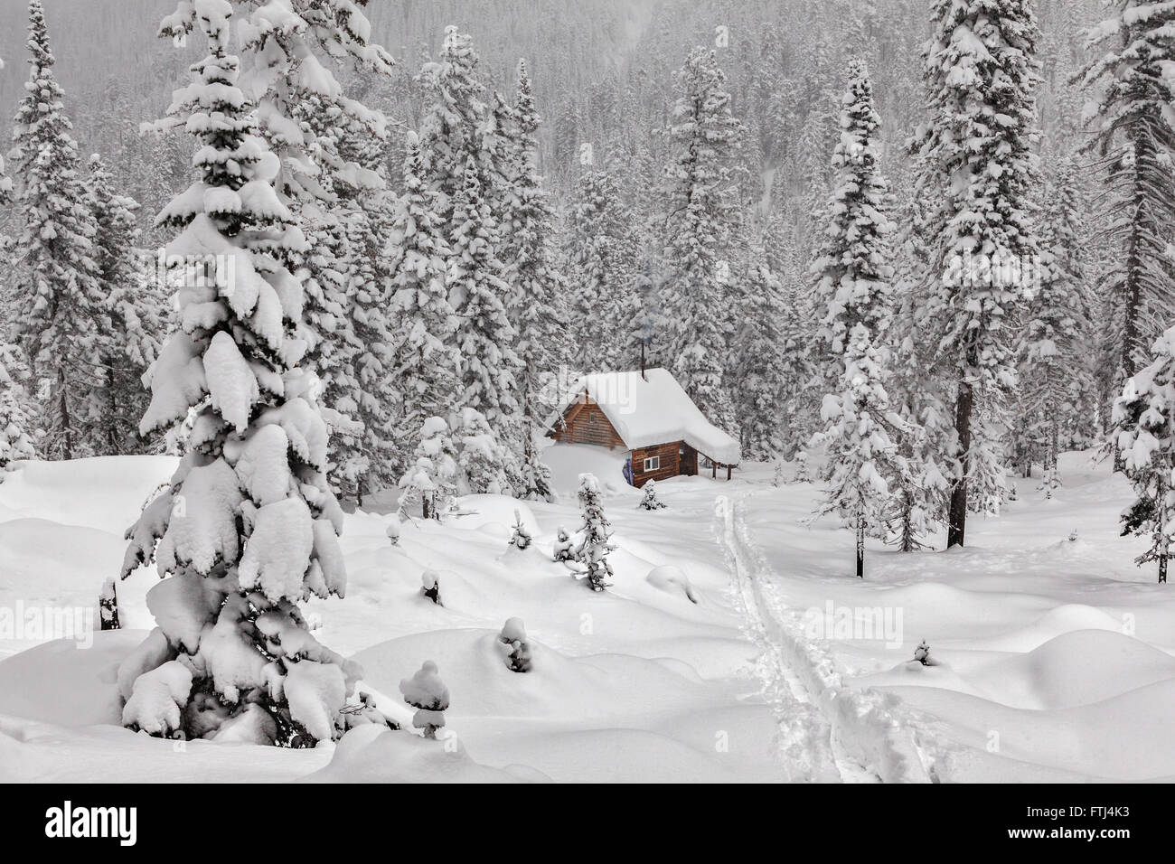 Ein Wintermärchen. Kleines Ferienhaus im schönen Schneewald. Stockfoto