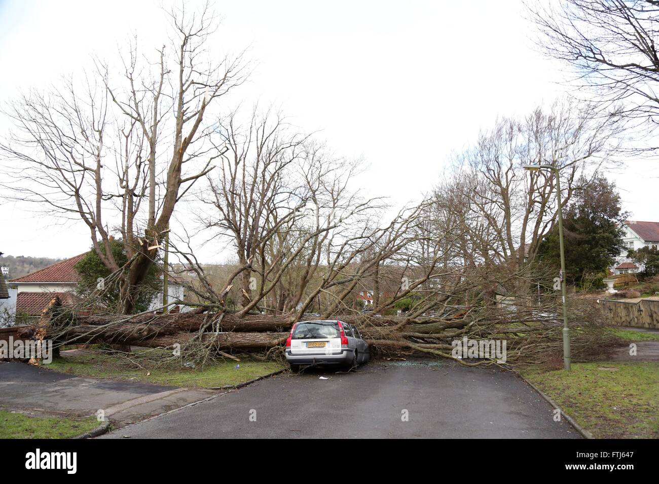 Ein Volvo ist durch einen umgestürzten Baum in Brighton, East Sussex nach Sturm Katie Großbritannien über Nacht getroffen zerkleinert. Der Baum fiel bei 1-15 bin, die Besitzer derzeit für den Osten Urlaub entfernt sind. 28. März 2016. James Boardman / Tele Bilder + 44 7967 642437 Stockfoto