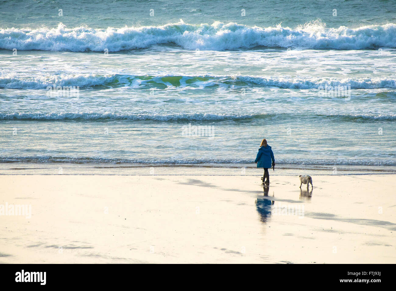 Eine Frau, die ihren Hund am Fistral Beach in Newquay, Cornwall entlang der Küste läuft. Stockfoto