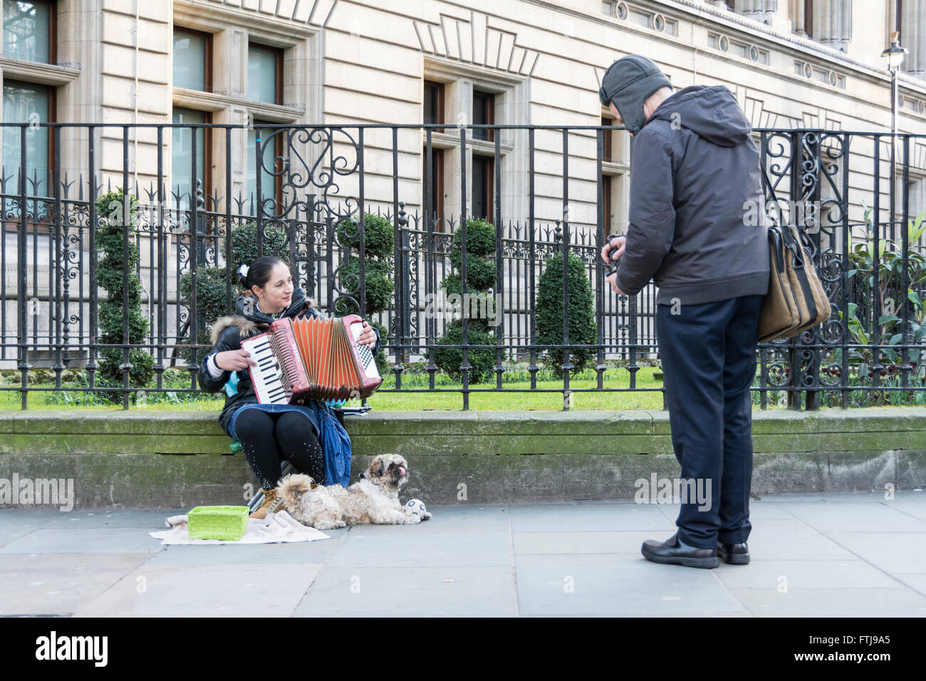 Eine Straßenmusikerin, die Akkordeon spielt, und ihr Labradoodle-Hund vor der National Portrait Gallery im Londoner West End, England Stockfoto