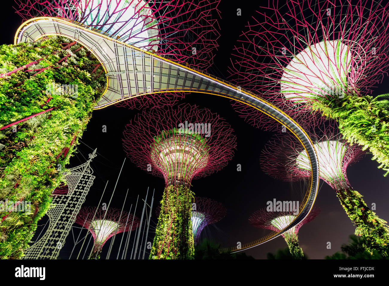 SuperTree Grove Gardens by the Bay in Singapur Stockfoto