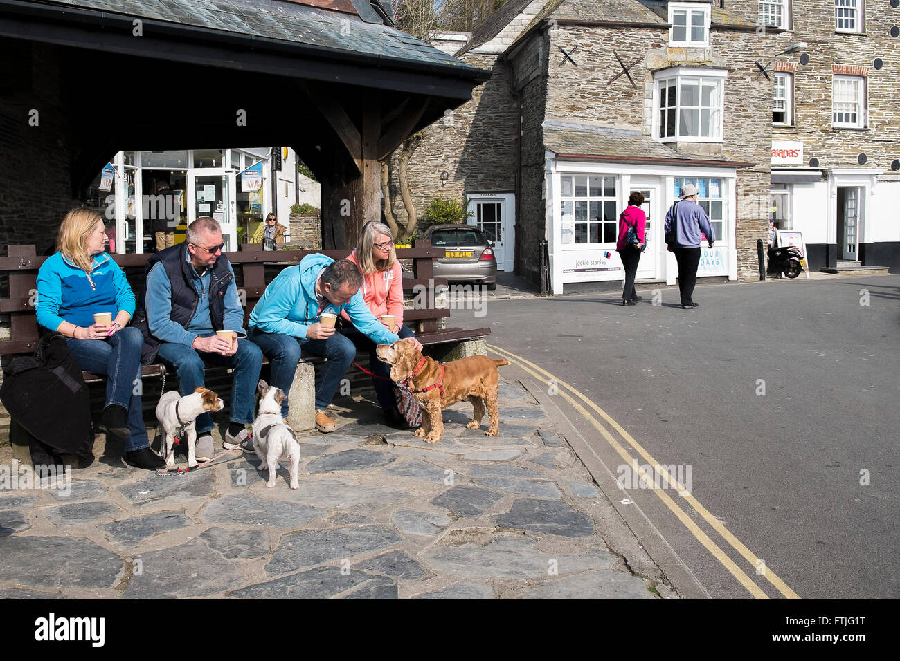 Hundebesitzer und ihre Haustiere entspannen sich am Hafen in Padstow, Cornwall. Stockfoto