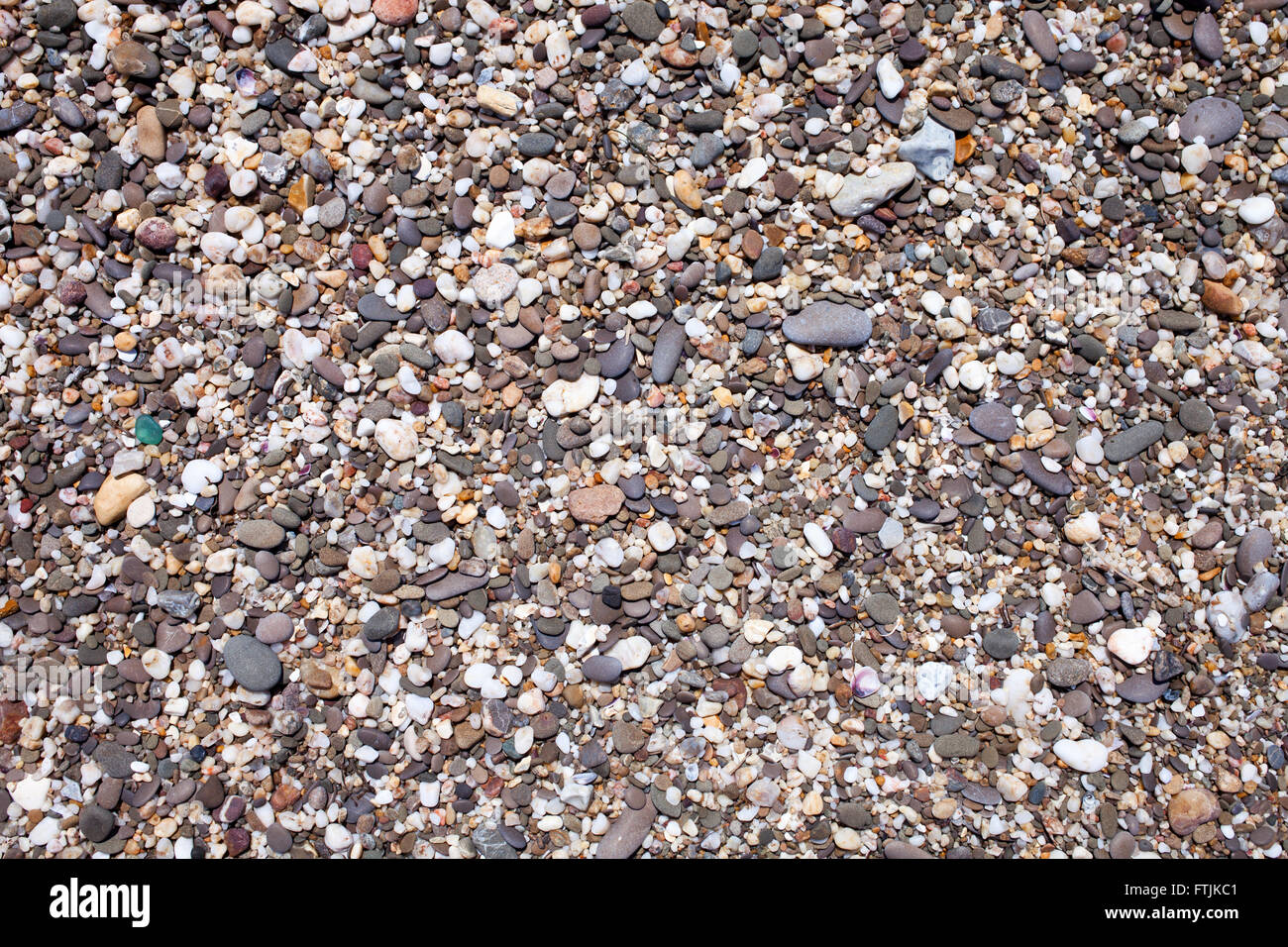 Die Textur der kleine Kieselsteine am Strand Stockfoto