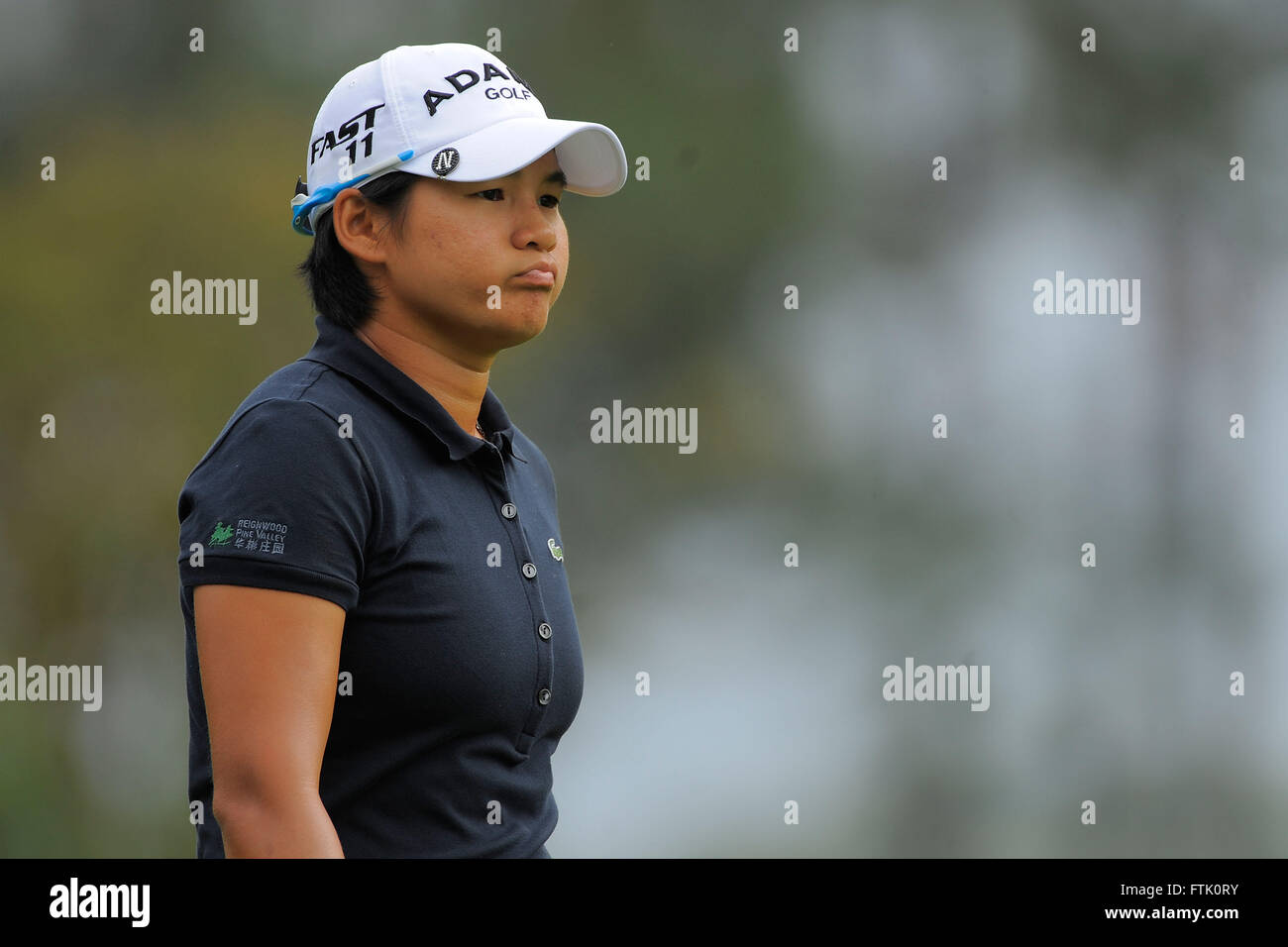 Orlando, Fla, USA. 17. November 2011. Yani Tseng in der ersten Runde der CME Group Titelverteidiger im Grand Cypress Resort am 17. November 2011 in Orlando, Florida ZUMA PRESS/Scott A. Miller © Scott A. Miller/ZUMA Draht/Alamy Live News Stockfoto