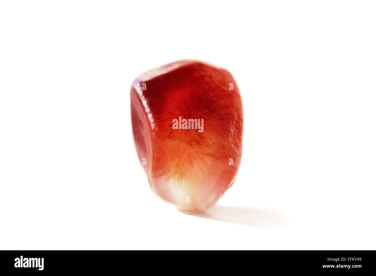 Ein Granatapfel Samen isoliert auf einem weißen Hintergrund-Makro Stockfoto