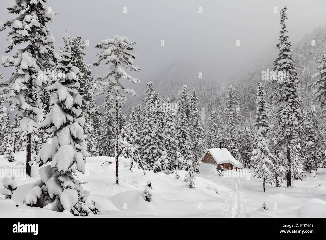 Ein Wintermärchen. Kleines Ferienhaus im schönen Schneewald. Stockfoto